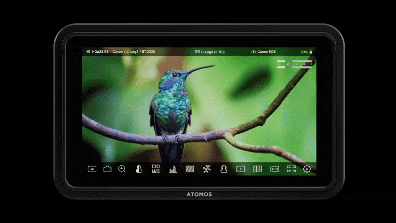 Atomos Shinobi 5 inch II Monitor lightweight