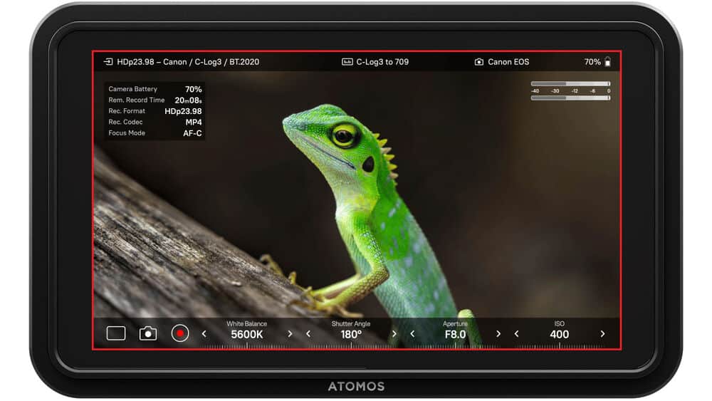 Atomos Shinobi 5 inch II Monitor camera status